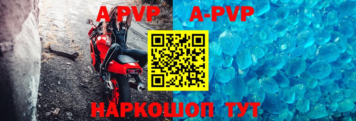 A PVP СК Гусев