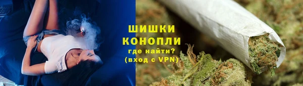 прущий лед Бородино