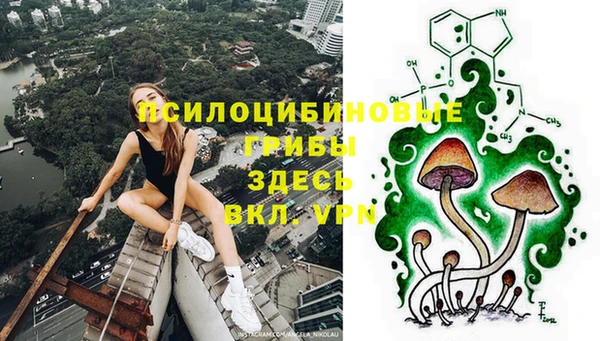 прущий лед Бородино