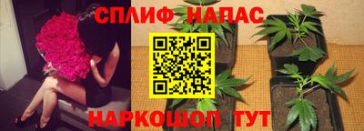 mdpv Малоярославец