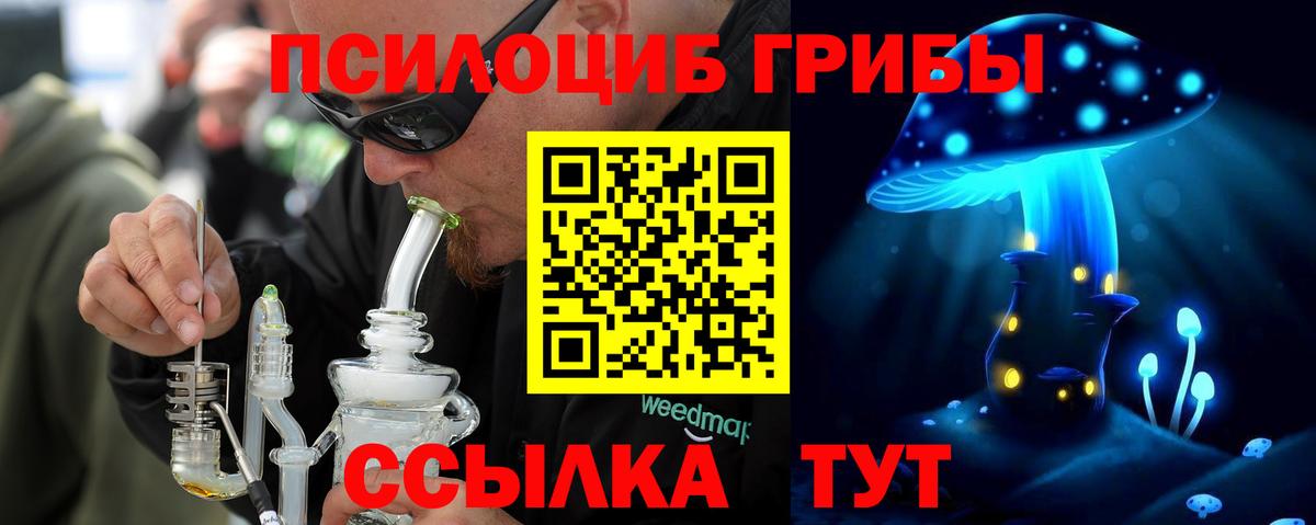 Псилоцибиновые грибы прущие грибы Гусев